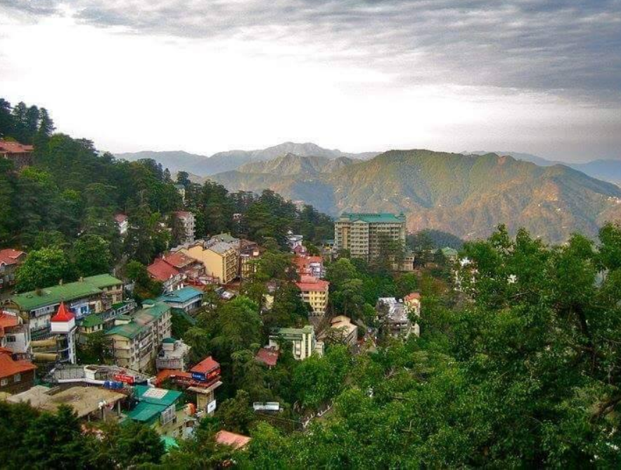 shimla